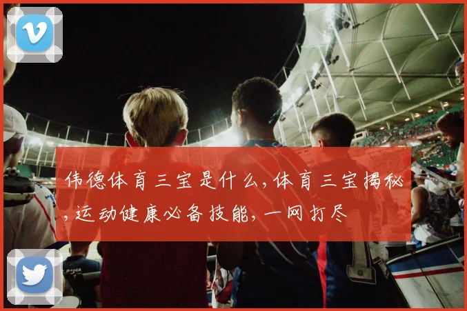 伟德体育三宝是什么,体育三宝揭秘,运动健康必备技能,一网打尽